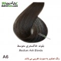 رنگ موی لورینت کد a6 گروه خاکستری
