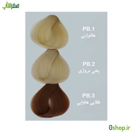رنگ مو والانسی PB1 , PB2 , PB3