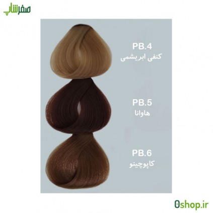 رنگ مو والانسی PB4 , PB5 , PB6