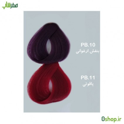 رنگ مو والانسی PB10 , PB11