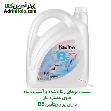 نرم کننده حرفه ای مو سر پادینا حاوی عصاره انار