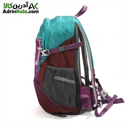 کوله پشتی مسافرتی هامتو کد HB202208-1 رنگ بنفش/سبز